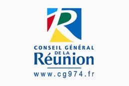 Reunion council general logo